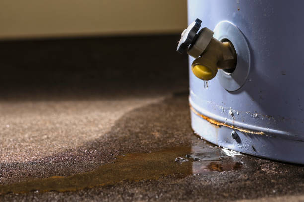 Water damage restoration insurance claims