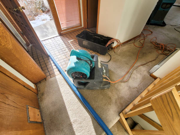 Best Water damage contractors near me  in Bridgeville, PA
