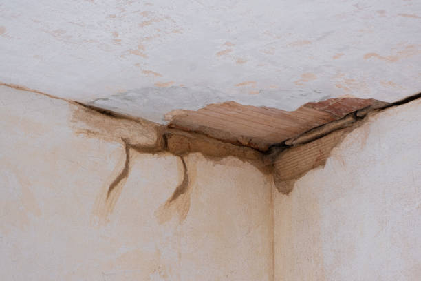 Best Flooded house restoration  in Bridgeville, PA