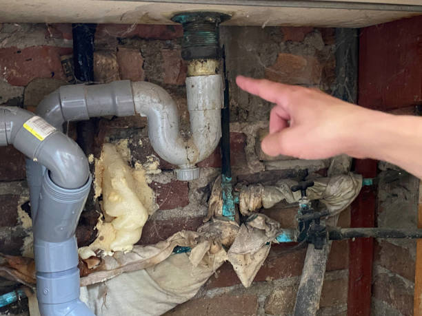 Best Water damage cleanup near me  in Bridgeville, PA